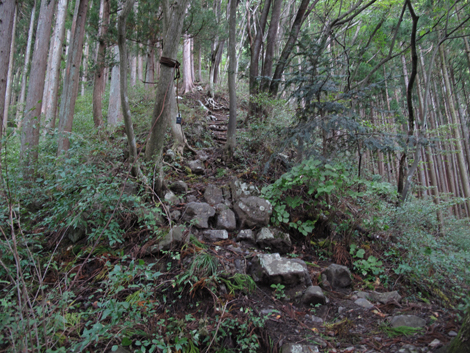 20181009hike (99)